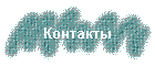 Контакты