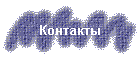 Контакты